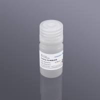 Celthy PEI转染试剂