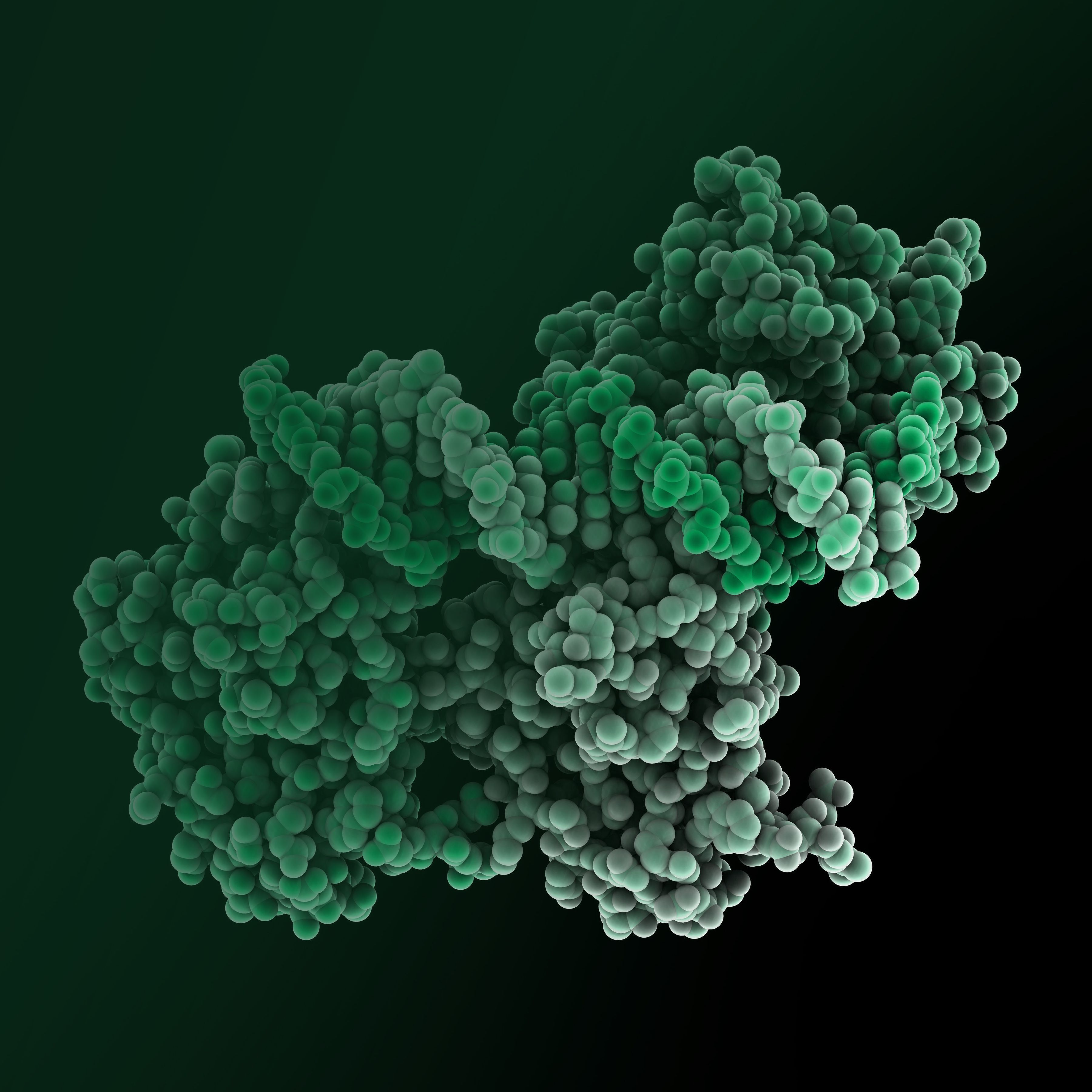 重组蛋白表达服务