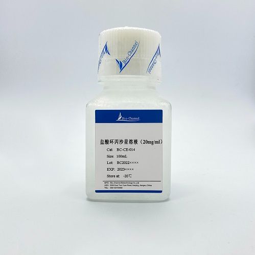 盐酸环丙沙星溶液(20mg/mL)