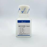 盐酸环丙沙星溶液(20mg/mL)