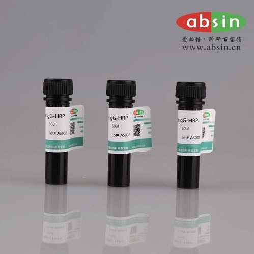 Minicircle FiLa-L/Cytosol