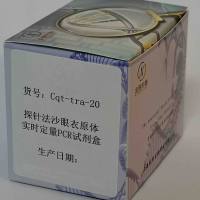 探针法沙眼衣原体实时定量PCR试剂盒