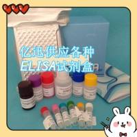 犀牛皮质酮(CORT)ELISA试剂盒