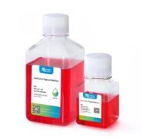 precedo原代食管癌完全培养基