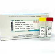 Seebio® 重组烟草蚀纹病毒蛋白酶（TEV酶）