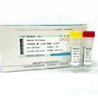 Seebio® 重组烟草蚀纹病毒蛋白酶(TEV酶)