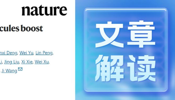 Nature |南模生物助力打通抗原呈递“最后一公里”