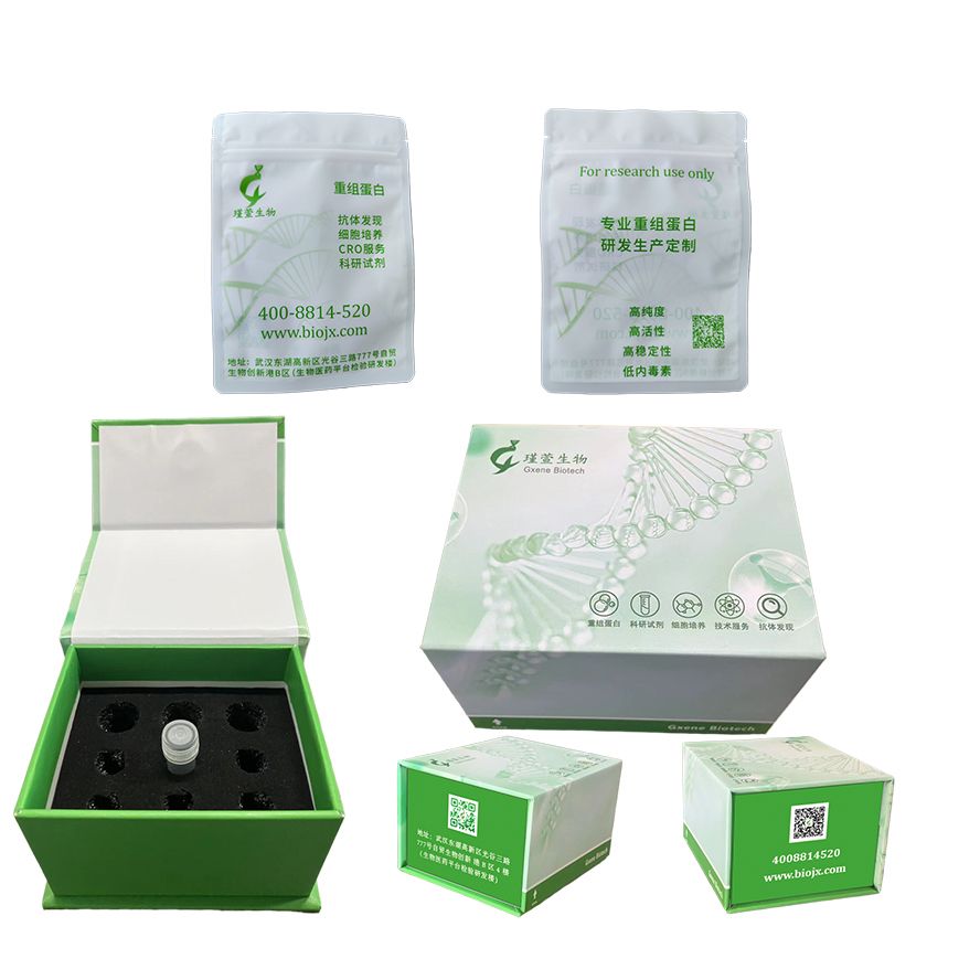 Recombinant Mouse IL-20 R beta / FNDC6 / IL-20R2 / DIRS1 Protein