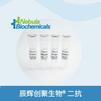 兔抗仓鼠IgG (H+L) 抗体, FITC | Rabbit Anti-Hamster IgG(H+L) polyclonal antibody, FITC