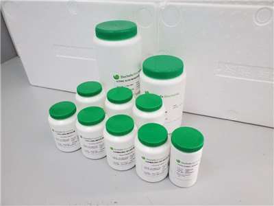 植物琼脂(Plant agar)：品质与实惠的双重选择！