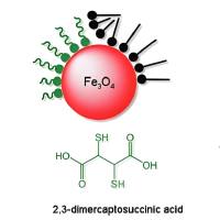 超顺磁性氧化铁纳米颗粒（USPIO）包裹光敏剂苯并卟啉衍生物单酸环A（BPD-MA）