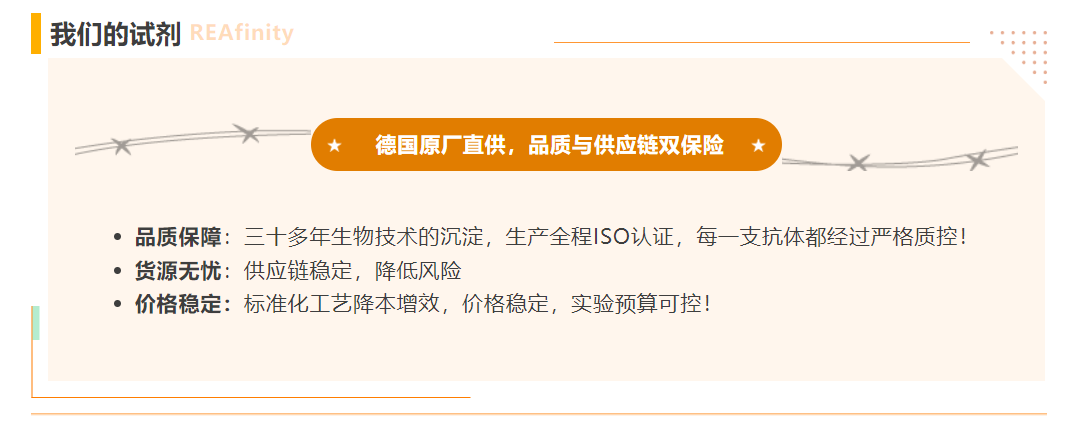 德国美天旎抗体 | 品质保证，货源无忧，价格稳定