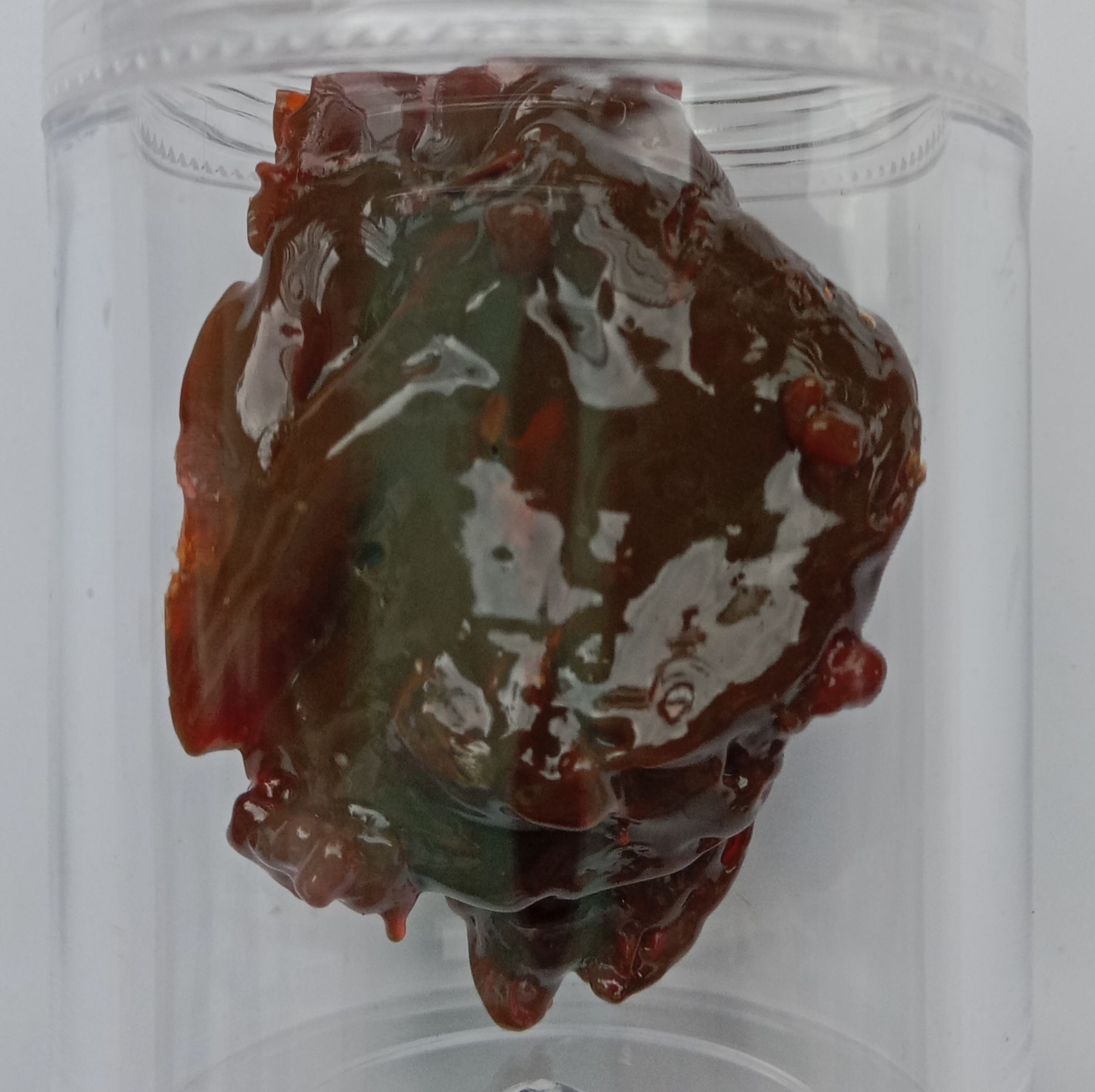 多聚(ε-赖氨酸,精氨酸)