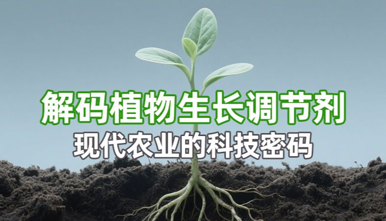 【魏氏试剂】解码植物生长调节剂：现代农业的科技密码