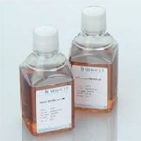 1%醛化大鼠红细胞