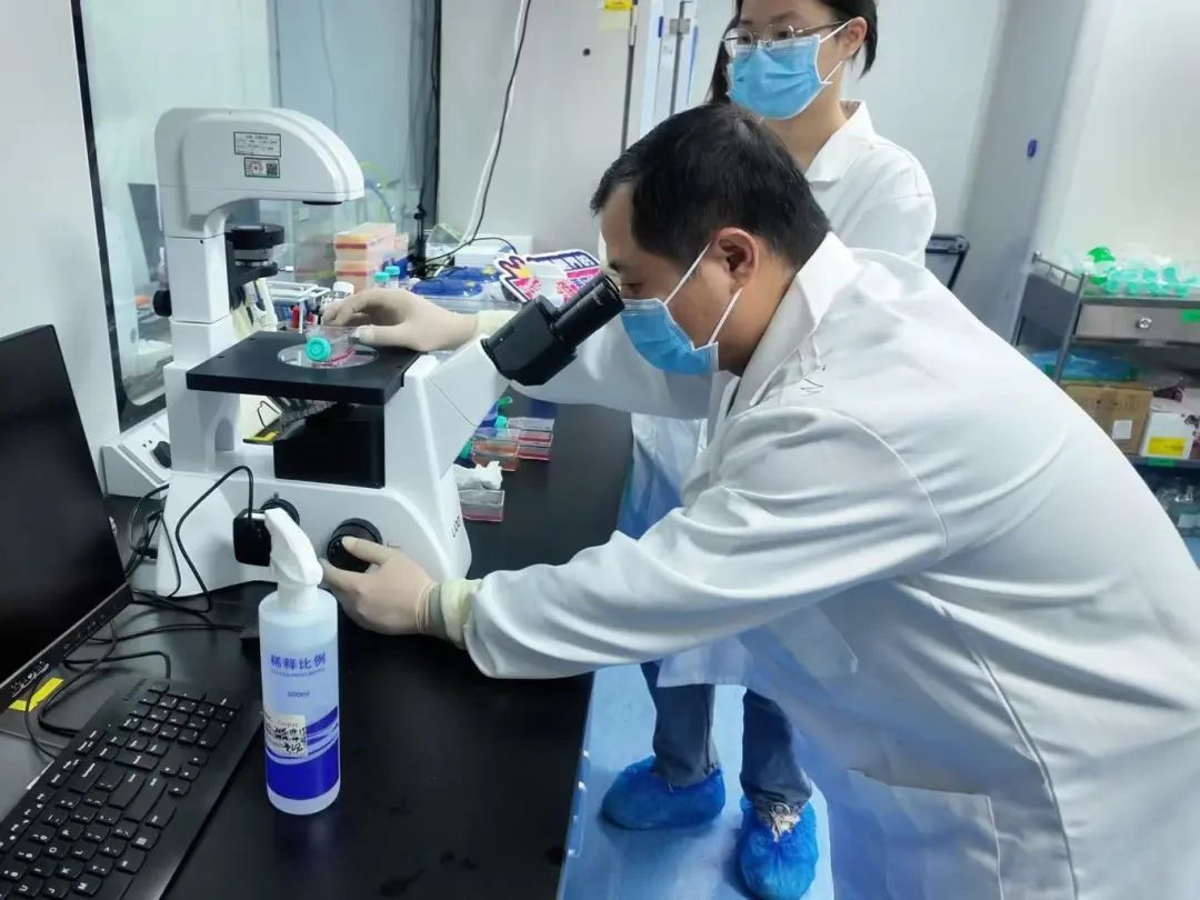 同立海源生物《珍贵血样NK细胞体外扩增解决方案》实操训练营