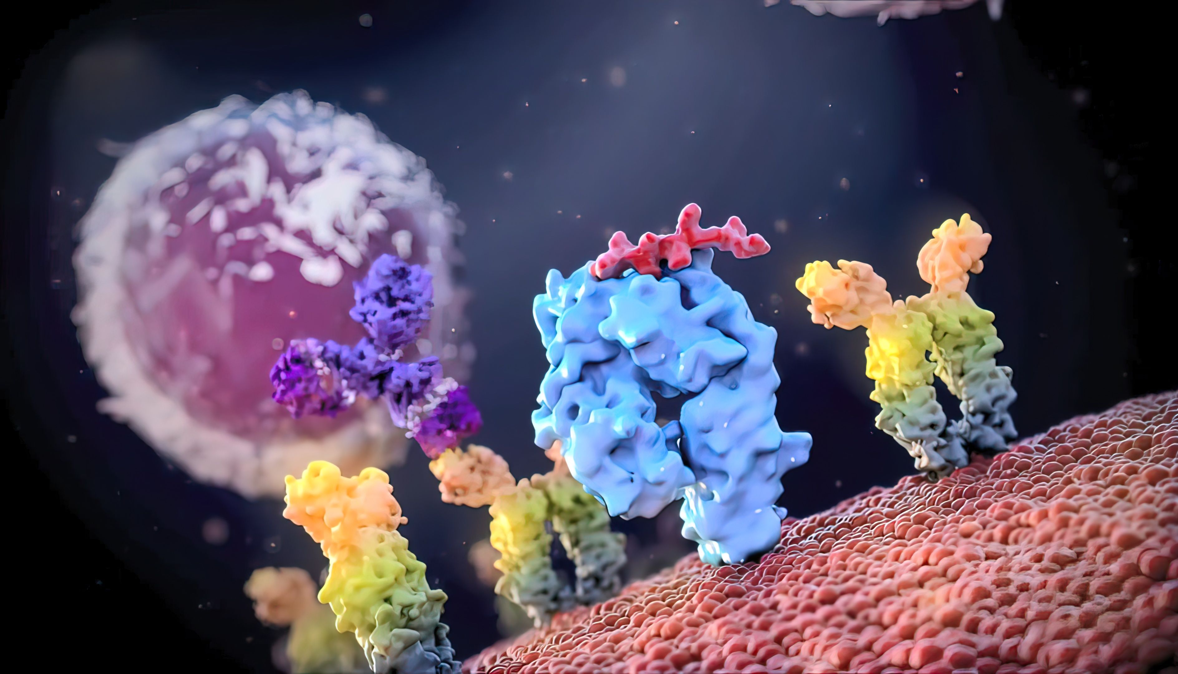 IL-17在炎症领域以及神经应用领域呈现出多点突破