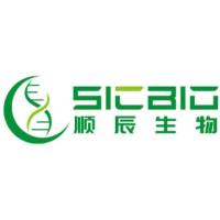 2×SDS-PAGE 非变性蛋白上样缓冲液(不含SDS和还原剂)