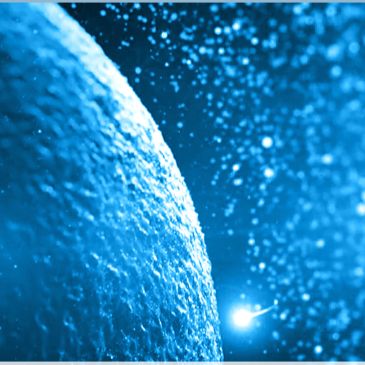 草鱼肾细胞系(CIK)