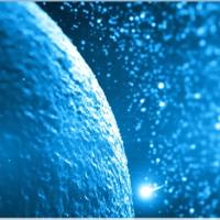 草鱼肾细胞系(CIK)