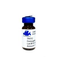 TRITC标记山羊抗人IgG二抗（经大鼠IgG吸附）