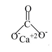 碳酸钙纳米颗粒（CaCO3）包裹竹红菌素B（HB）