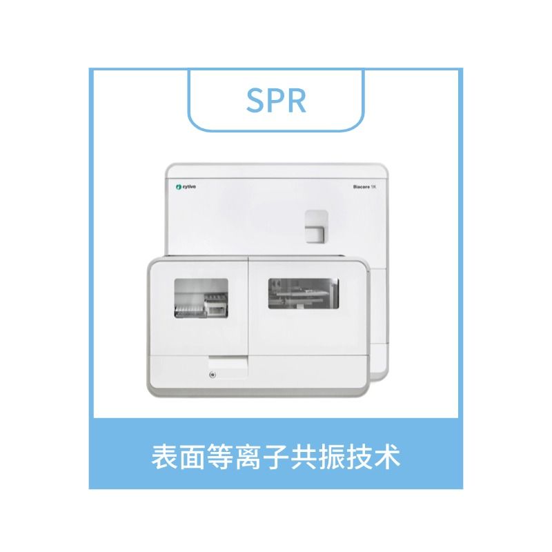 SPR法检测蛋白质与蛋白质亲和力实验服务