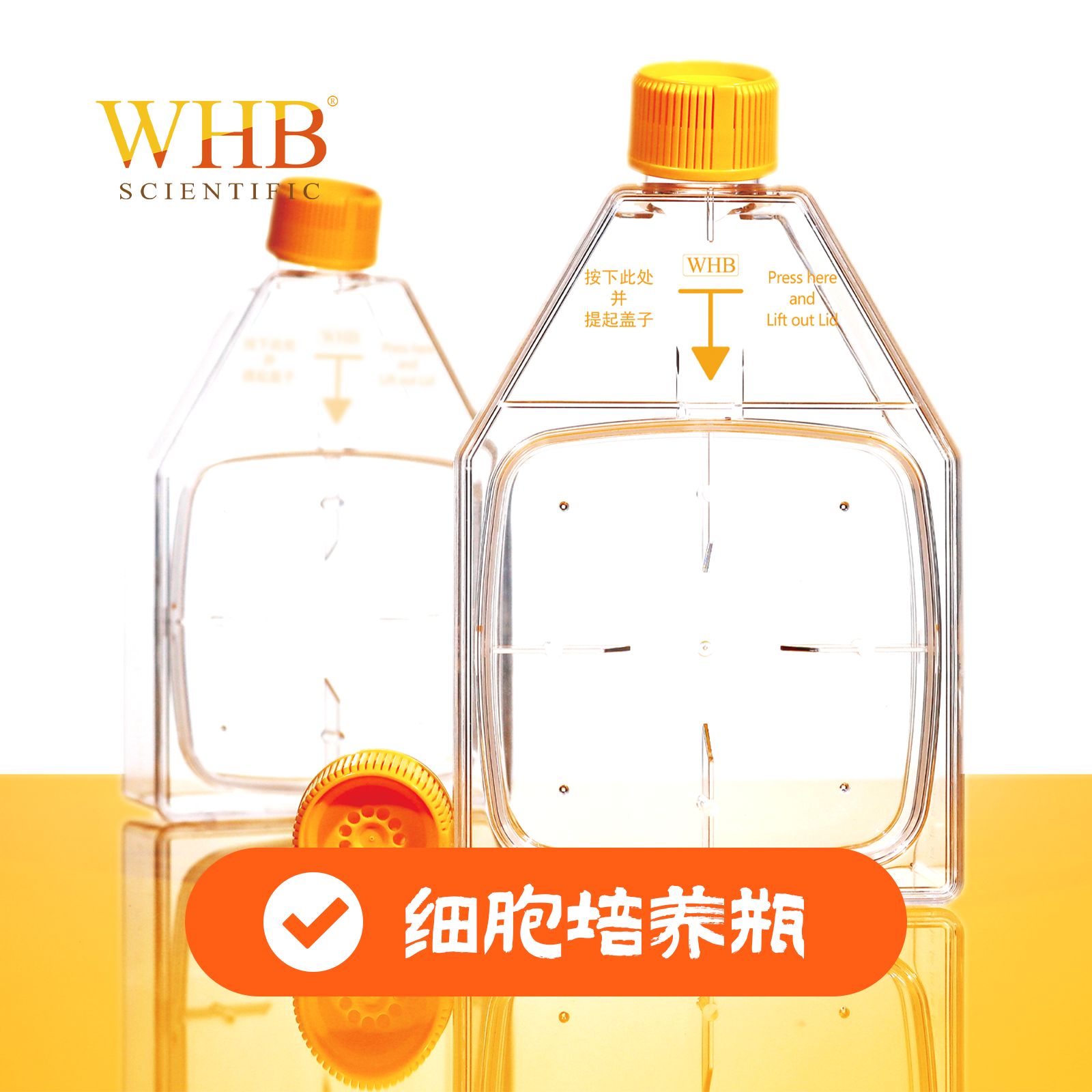 细胞培养瓶 Cell Culture Flasks