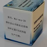 探针法山羊肺炎支原体实时定量PCR试剂盒