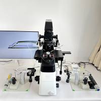 二手显微注射操作系统尼康/Nikon ECLIPSE Ti2倒置霍夫曼显微镜