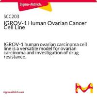  默克Merck IGROV-1 Human Ovarian Adenocarcinoma Cell Line