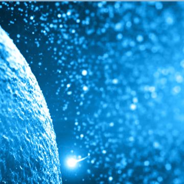 斑马鱼胚胎成纤维细胞pac2