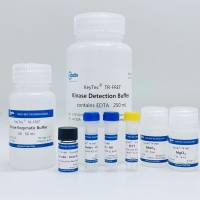 KeyTec® TR-FRET CDKs kinase kit - Rb(S780) substrate