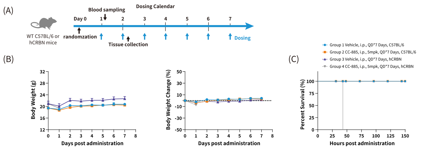 AACR 2025抢先看 | 南模生物将携多个动物模型新研究成果精彩亮相