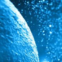 鲤上皮瘤细胞系(EPC)