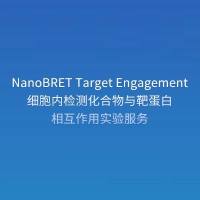 细胞内检测化合物与靶蛋白相互作用(NanoBRET Target Engagement)实验服务