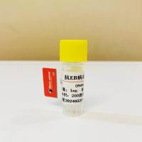抗EB病毒单克隆抗体;EB病毒抗体;EBV抗体