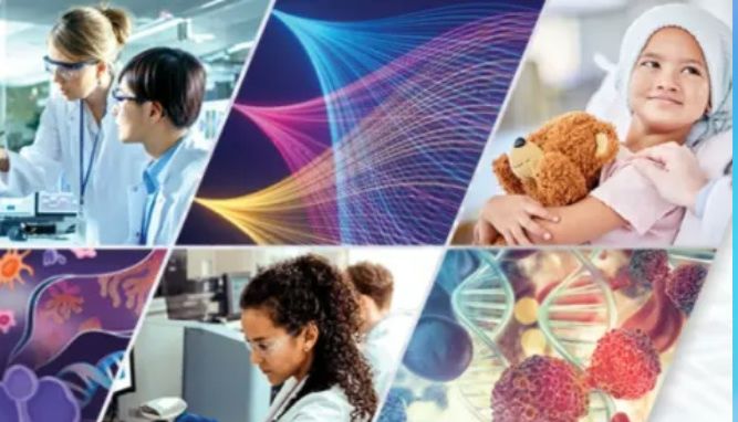 AACR 2025抢先看 | 南模生物将携多个动物模型新研究成果精彩亮相