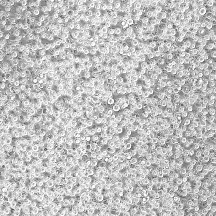 F-36P_人白血病细胞