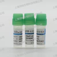 康彻思坦HBsAb