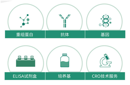 义翘神州（SinoBiological）：民族自主生物试剂品牌
