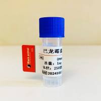 巴龙霉素单克隆抗体；巴龙霉素抗体；巴母霉素抗体；巴罗姆霉素抗体；PRM抗体；Paromomycin PRM抗体