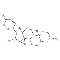 去乙酰华蟾毒精|4026-95-3|Desacetylcinobufagin