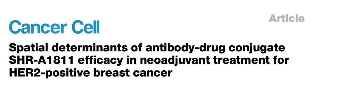 国内Xenium高分文章又一篇！突破传统病理局限，为乳腺癌治疗打开新视界！