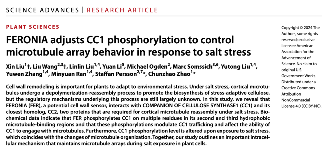 用显微镜追踪植物的生长？还发了高分文章？