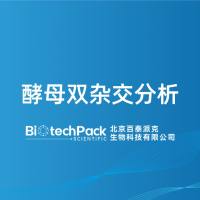 酵母双杂交分析