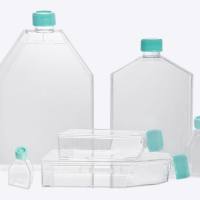 洁特一次性细胞培养瓶 北京鼎国一级代理