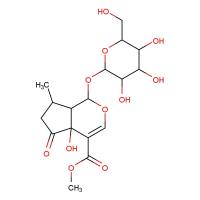戟叶马鞭草苷|50816-24-5
