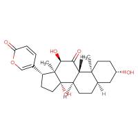 伪异沙蟾毒精|17008-69-4|Bufarenogin