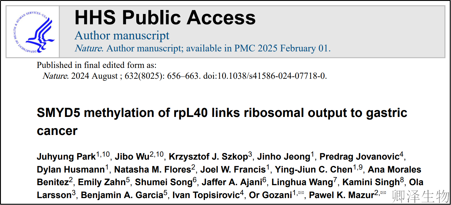 【Polysome技术文献】揭秘SMYD5如何通过核糖体「操控」癌症进展